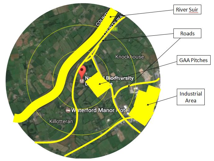 radius picture